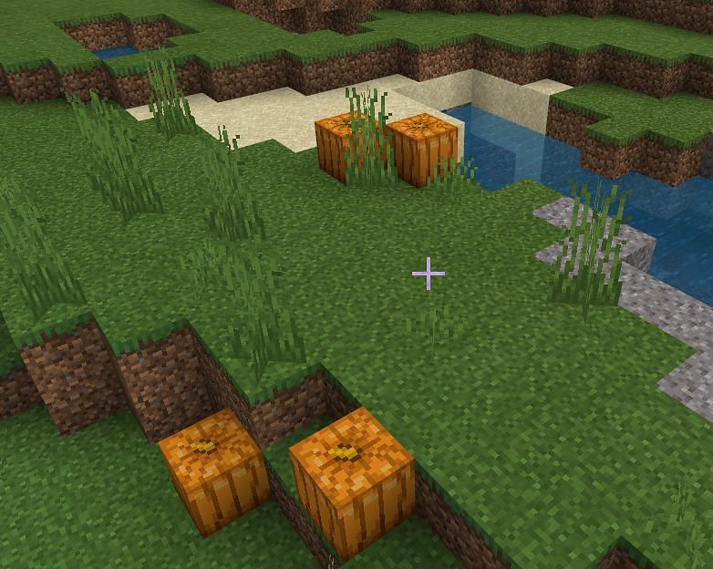 Как вырезать тыкву в Minecraft2