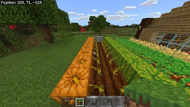 Как вырастить тыквы в Minecraft2
